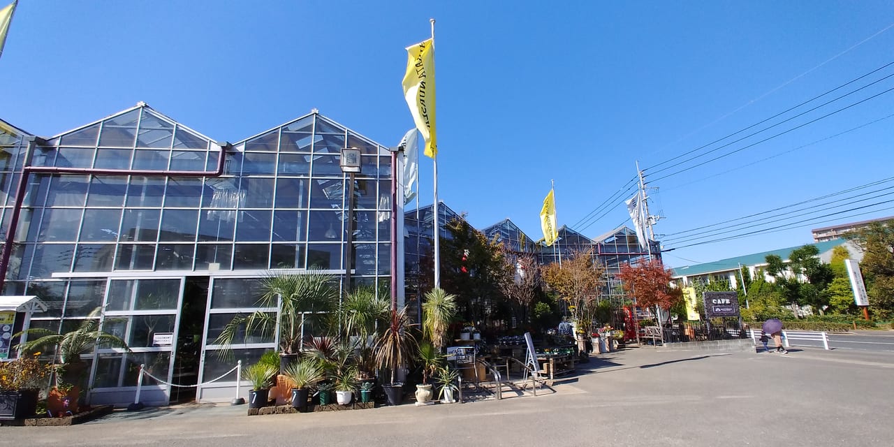 春日市 クリスマスの飾りつけが素敵です 平田ナーセリー春日店balcone 花や緑に囲まれたカフェが店内にあり ほっこりできますよ 号外net 春日市 大野城市 那珂川市